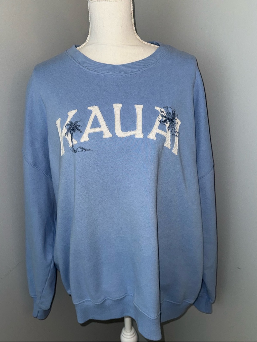 Hollister Sweatshirt